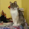 Отзыв от Ольга Лыкова